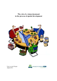 The Role of a Vision-Document in the Process of Spatial Development