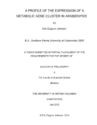 A Profile of the Expression of a Metabolic Gene Cluster in Arabidopsis