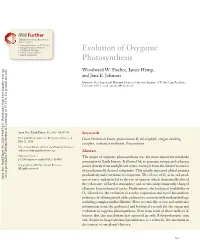 Evolution of Oxygenic Photosynthesis