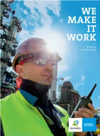 View Annual Report 2015