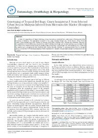 Genotyping of Tropical Bed Bugs, Cimex Hemipterus F. from Selected