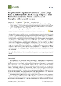 Insights Into Comparative Genomics, Codon Usage Bias, And