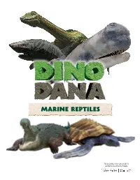 Marine Reptiles
