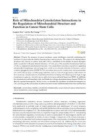 Role of Mitochondria-Cytoskeleton Interactions in the Regulation of Mitochondrial Structure and Function in Cancer Stem Cells