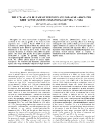 The Uptake and Release of Serotonin and Dopamine Associated with Locust (Locusta Migratoria) Salivary Glands
