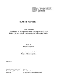 Masterarbeit