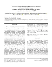 Site-Specific Fertilization Approach Increased