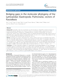 Bridging Gaps in the Molecular Phylogeny of the Lymnaeidae (Gastropoda: Pulmonata), Vectors of Fascioliasis