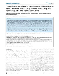Crystal Structures of the Atpase Domains of Four Human Hsp70 Isoforms: HSPA1L/Hsp70-Hom, HSPA2/Hsp70-2, HSPA6/Hsp70b’, and HSPA5/Bip/GRP78