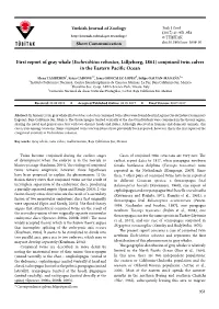 First Report of Gray Whale (Eschrichtius Robustus , Lilljeborg