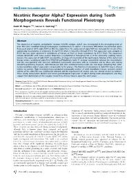 Nicotinic Receptor Alpha7 Expression During Tooth Morphogenesis Reveals Functional Pleiotropy