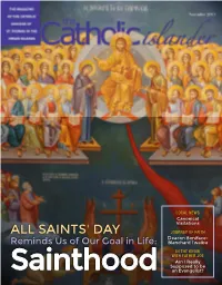PDF Scroll Version