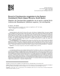 Record of Carcharocles Megalodon in the Eastern