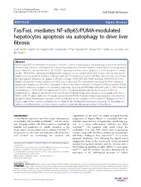 Fas/Fasl Mediates NF-Κbp65/PUMA-Modulated