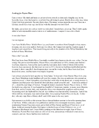 Looking for Peyton Place I Am a Writer. My Third and Most Recent
