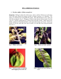 Symptoms: Pathogen Attacks the Inflorescence, Leaves, Stalk of In