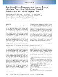 Conditional Gene Expression and Lineage Tracing of Tuba1a Expressing Cells During Zebraﬁsh Development and Retina Regeneration