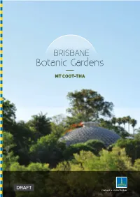 Draft Brisbane Botanic Gardens Mt Coot-Tha Master Plan 2017 Sets the Vision and Strategic Framework to Guide the Next Generation of Growth in the Gardens