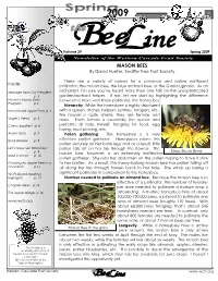 Spring Beeline