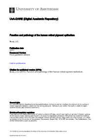 Thesis Was Conducted at the Netherlands Institute for Neuro- Science