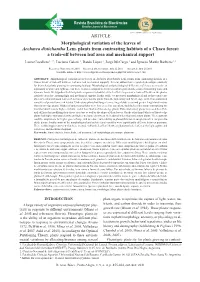 ARTICLE Morphological Variation of the Leaves of Aechmea Distichantha Lem