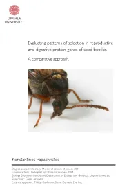 Evaluating Patterns of Selection in Reproductive and Digestive Protein Genes of Seed Beetles