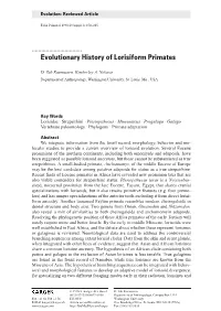 Evolutionary History of Lorisiform Primates