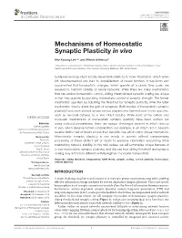 Mechanisms of Homeostatic Synaptic Plasticity in Vivo