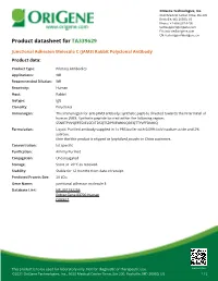Junctional Adhesion Molecule C (JAM3) Rabbit Polyclonal Antibody Product Data