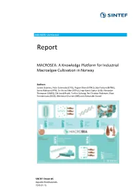 MACROSEA Final Report 2020