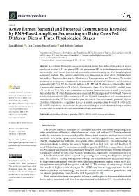 Active Rumen Bacterial and Protozoal Communities Revealed by RNA-Based Amplicon Sequencing on Dairy Cows Fed Different Diets at Three Physiological Stages