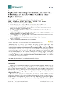 Peptogrid—Rescoring Function for Autodock Vina to Identify New Bioactive Molecules from Short Peptide Libraries
