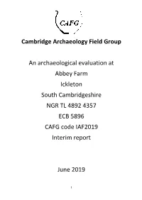 Ickleton Draft 2019 Report