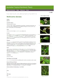 Medicosma Obovata Click on Images to Enlarge