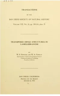 Transposed Hinge Structures in Lamellibranches