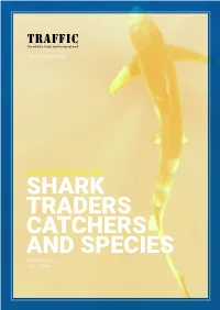 AN OVERVIEW of MAJOR SHARK TRADERS CATCHERS and SPECIES Nicola Okes Glenn Sant TRAFFIC REPORT an Overview of Major Global Shark* Traders, Catchers and Species