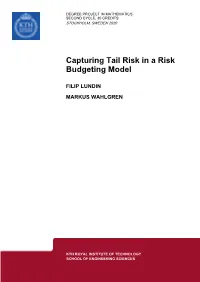 Capturing Tail Risk in a Risk Budgeting Model