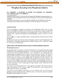 Phosphate Recycling in the Phosphorus Industry