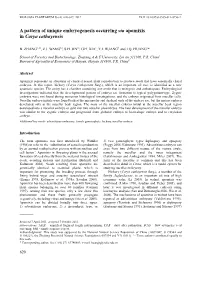 A Pattern of Unique Embryogenesis Occurring Via Apomixis in Carya Cathayensis