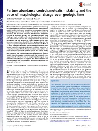 Partner Abundance Controls Mutualism Stability and the Pace of Morphological Change Over Geologic Time