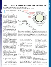 What Can We Learn About Fertilization from Cystic Fibrosis?