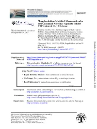 Release Β ATP-Induced IL-1 and Canonical Nicotinic Agonists Inhibit Phosphocholine-Modified Macromolecules
