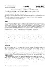 The Ant Genus Linepithema (Formicidae: Dolichoderinae) in Colombia