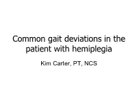 Common Gait Deviations in the Patient with Hemiplegia