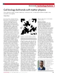 Cell Biology Befriends Soft Matter Physics Phase Separation Creates Complex Condensates in Eukaryotic Cells