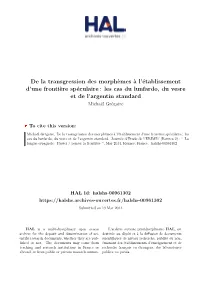 De La Transgression Des Morphèmes À L'établissement D'une Frontière