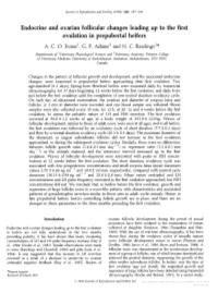 Endocrine and Ovarian Follicular Changes Leading up Ovulation In