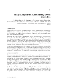 Image Analysis for Automatically-Driven Bionic Eye