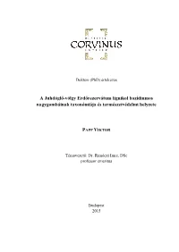 Papp Viktor.Pdf