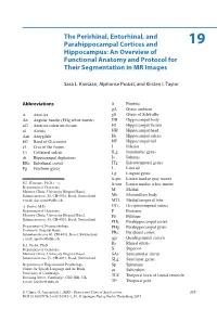 The Perirhinal, Entorhinal, and Parahippocampal Cortices and 1 9 Hippocampus: an Overview of Functional Anatomy and Protocol for Their Segmentation in MR Images